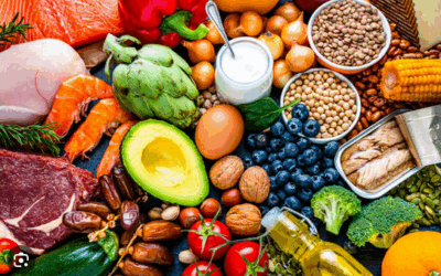 Chargé de mission alimentation