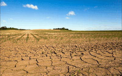 Arrêté sécheresse juillet 2025